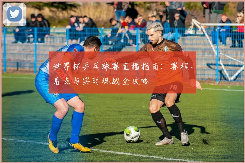 世界杯乒乓球赛直播指南：赛程、看点与实时观战全攻略